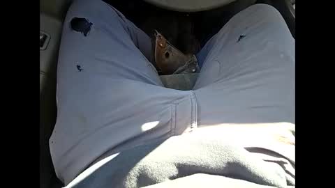 bombinshaman online show from January 12, 4:34 pm