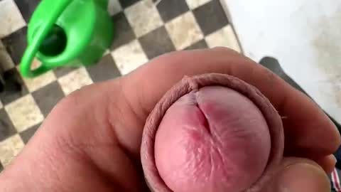 bonershot online show from February 7, 7:28 pm