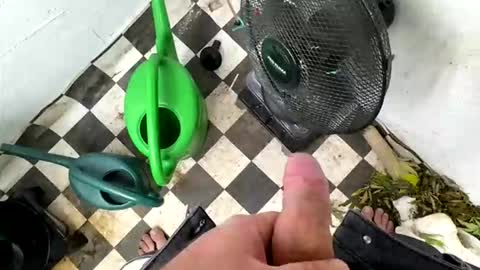 bonershot online show from March 23, 5:39 pm