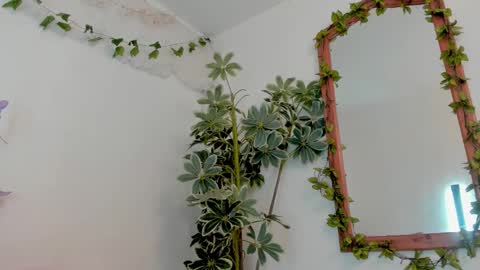   online show from March 19, 11:53 pm