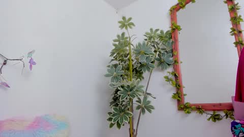   online show from March 22, 11:30 pm