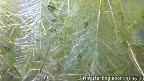 Booker Baxton online show from February 11, 4:06 am