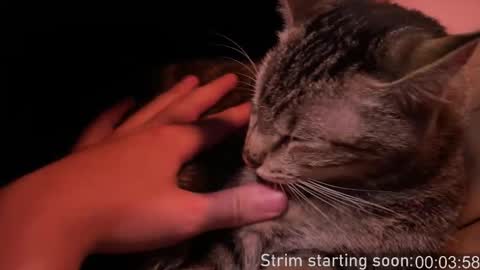 Booker Baxton online show from February 12, 4:07 am