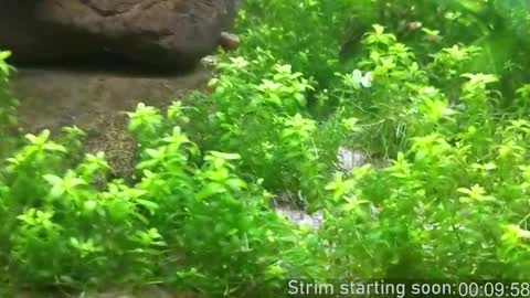 Booker Baxton online show from February 17, 3:58 am