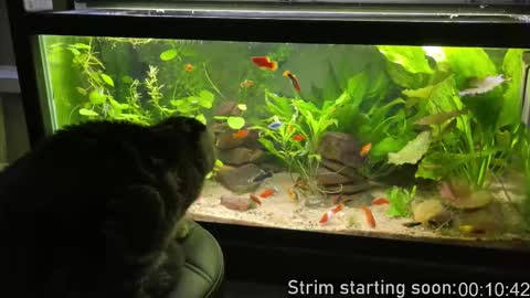 Booker Baxton online show from March 18, 2:58 am