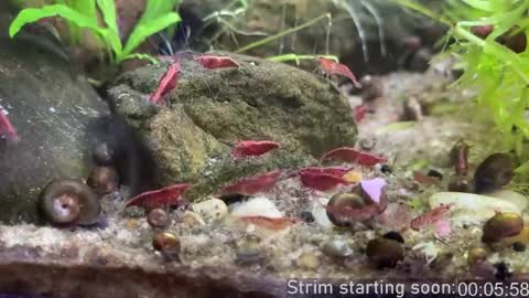 Booker Baxton online show from April 8, 3:06 am