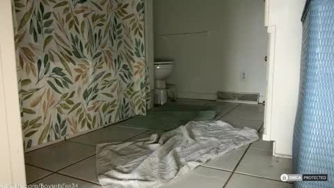 boysetsfire34 online show from February 18, 5:53 pm