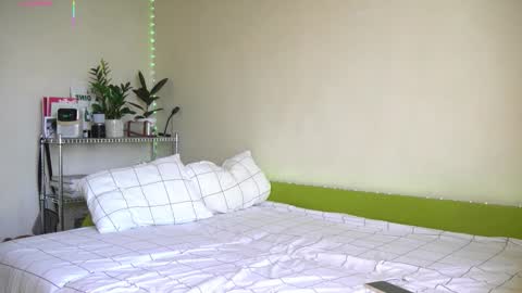 BoyTurtle online show from November 13, 8:24 am