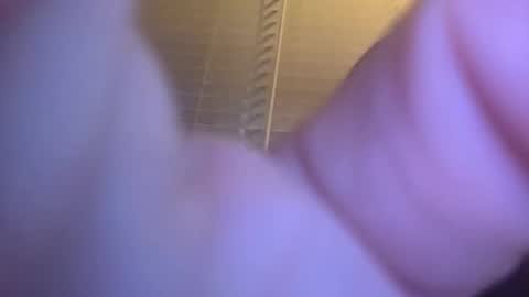 Bradley online show from November 18, 4:17 am