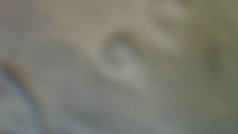 bradynoggle online show from September 11, 2:55 am