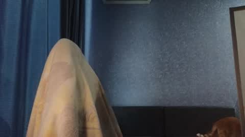 Belle  online show from November 8, 4:56 am