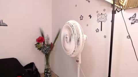 Snapshot of brenda_maz chatting on January 29, 3:15 pm Brenda online show from January 29, 3:15 pm