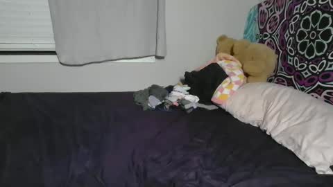 Snapshot of briannablack77 chatting on January 28, 5:00 am Brianna Black online show from January 28, 5:00 am