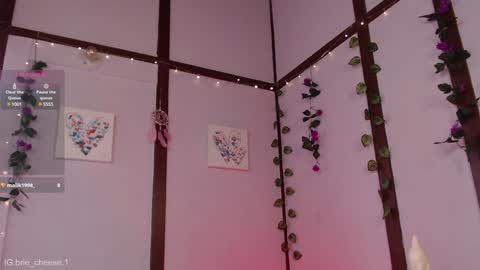 Brie  Ill be away November 2829 and 30. See u on Sunday for more fun online show from January 4, 7:13 pm