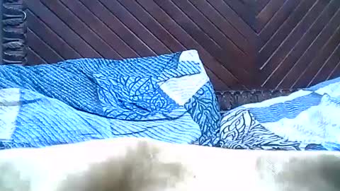 Snapshot of brilliant7 chatting on December 28, 9:40 pm Josh online show from December 28, 9:40 pm