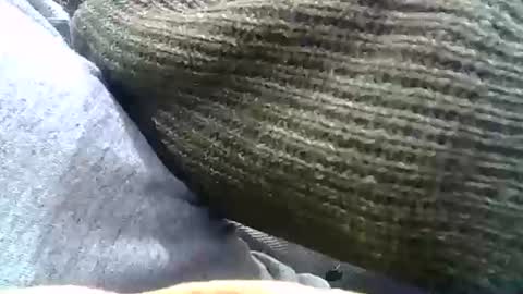 Snapshot of brilliant7 chatting on December 31, 2:29 am Josh online show from December 31, 2:29 am