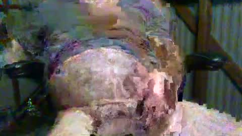 Snapshot of brissy8091 chatting on May 14, 7:48 am brissy8091 online show from May 14, 7:48 am