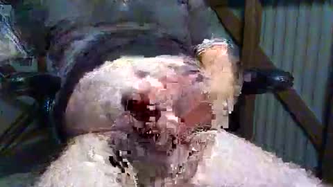 Snapshot of brissy8091 chatting on May 20, 7:58 am brissy8091 online show from May 20, 7:58 am