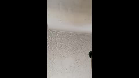 Brittany  online show from March 31, 12:38 pm