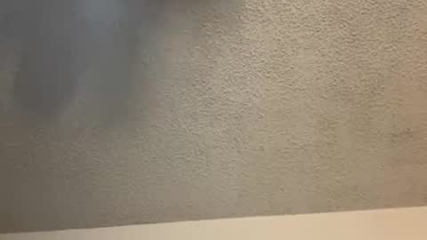 Snapshot of brownsugar0910 chatting on February 11, 3:50 am EtherealLilac online show from February 11, 3:50 am