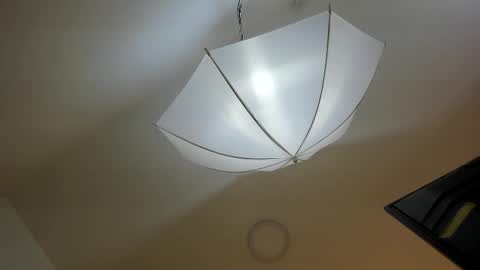 bryannamiller online show from November 11, 11:54 am