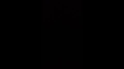 Bull online show from October 19, 2:50 pm