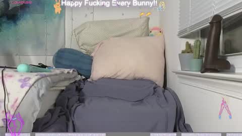 Snapshot of bunnycheekz chatting on December 4, 11:24 pm Tokki  bunny  online show from December 4, 11:24 pm