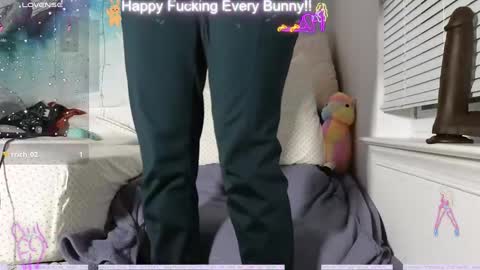 Snapshot of bunnycheekz chatting on December 12, 2:37 am Tokki  bunny  online show from December 12, 2:37 am