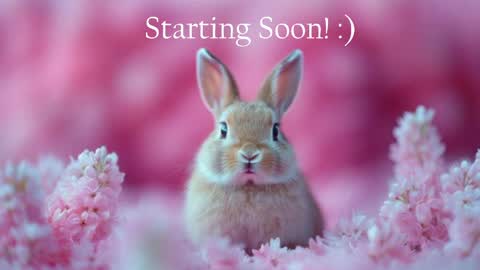 Stella online show from May 16, 10:08 pm