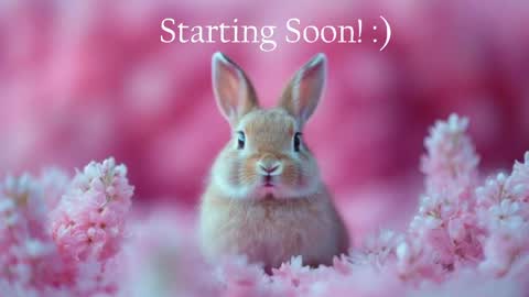 Stella online show from May 18, 9:53 pm