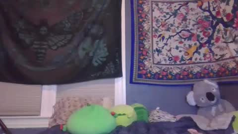 lilly online show from February 2, 10:46 am