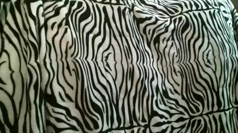 bustinfree online show from December 22, 3:53 pm