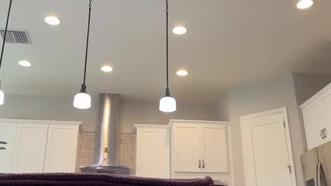 afternoon wood online show from March 26, 5:29 pm