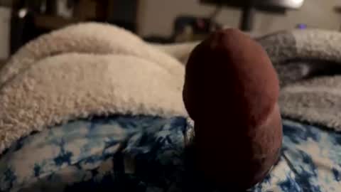 Snapshot of byrdbean chatting on January 17, 7:46 am byrdbean online show from January 17, 7:46 am