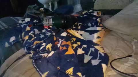 Calisguitar online show from December 29, 9:30 pm