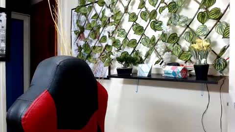 Snapshot of cameliasaenz chatting on January 28, 11:49 am camelia online show from January 28, 11:49 am