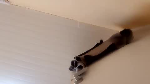 Snapshot of camilarubla chatting on December 1, 6:46 pm camilarubla online show from December 1, 6:46 pm