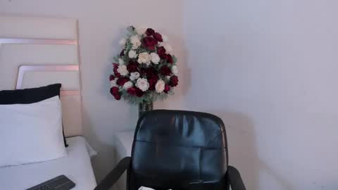 Snapshot of camilasofiia chatting on January 23, 7:29 pm Camila online show from January 23, 7:29 pm