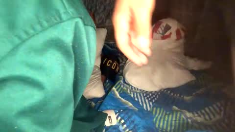 Snapshot of camivaron chatting on January 13, 8:58 am camivaron online show from January 13, 8:58 am