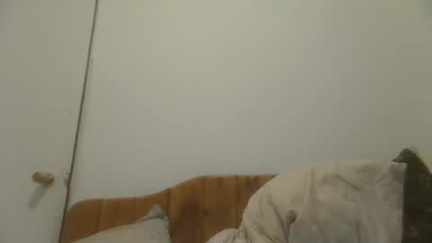 caravibugue online show from December 7, 1:03 am