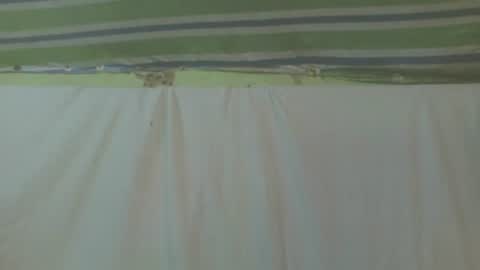 Snapshot of carinesexy69 chatting on October 2, 11:39 am carinesexy69 online show from October 2, 11:39 am