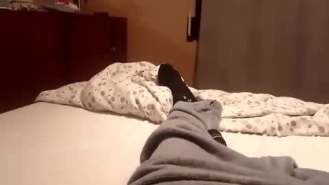 carlitito1 online show from October 6, 7:17 am