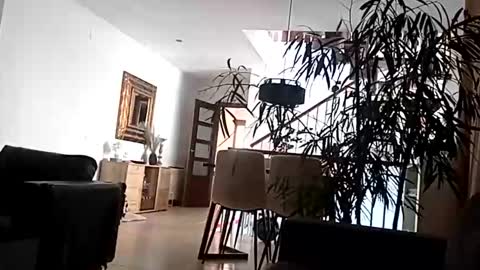 carlitito1 online show from April 15, 9:16 am