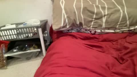 Snapshot of casanovacasaa chatting on February 20, 7:19 pm casanovacasaa online show from February 20, 7:19 pm