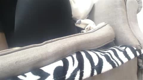 Snapshot of cassandra_joy chatting on February 18, 3:43 pm Cassandra joy online show from February 18, 3:43 pm