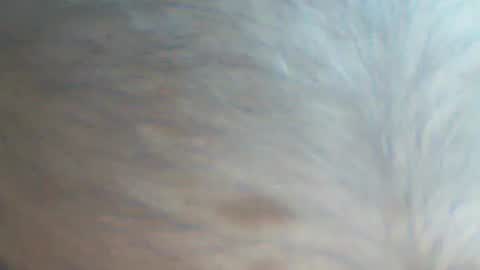 castells online show from September 22, 4:09 pm