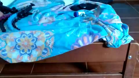 cataleya online show from January 6, 9:18 pm