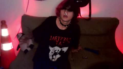 Cat online show from July 1, 9:25 pm