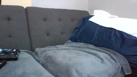 Snapshot of catsplace chatting on January 8, 1:52 pm catsplace online show from January 8, 1:52 pm