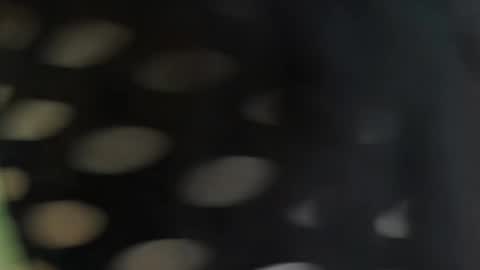 cattleyascaly online show from September 25, 7:39 pm